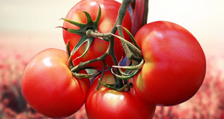 中基實業(yè)和天津中辰網(wǎng)站發(fā)布